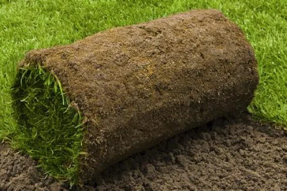 Rollrasen wird verlegt